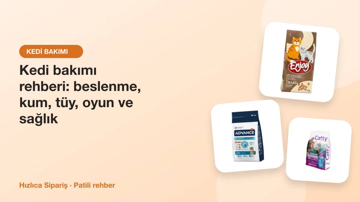 Kedi mamaları, kedi kumu, tarak ve oyuncaklardan oluşan kedi bakım ürünleri kolajı