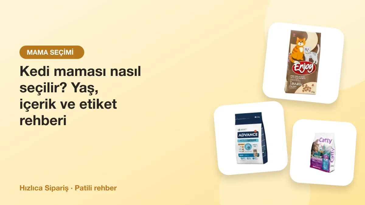 Farklı markalardan kedi kuru maması paketleri ve dolu bir mama kabı