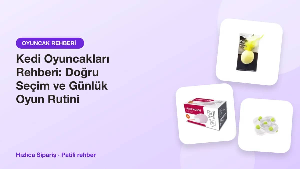 Kedi oltası, catnipli peluş oyuncaklar, renkli toplar ve kedi tünelinden oluşan oyuncak kolajı