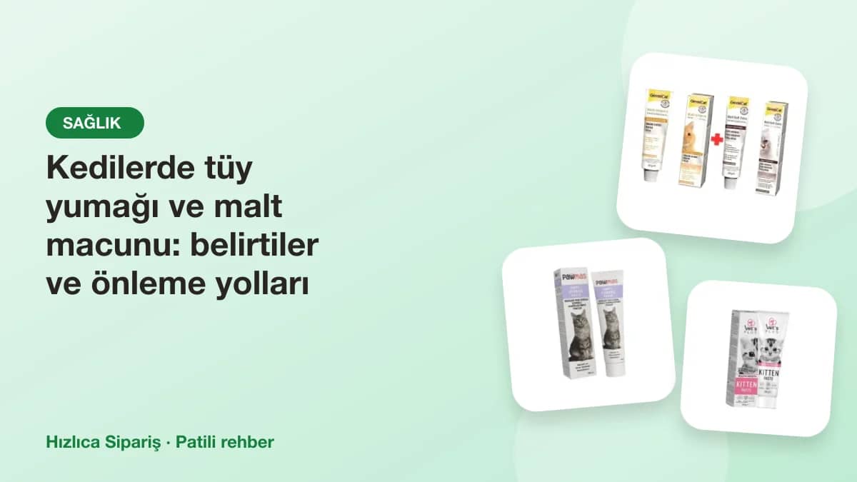 Kedi malt macunu tüpleri ve tüy tarama fırçalarından oluşan ürün kolajı