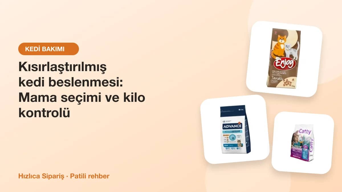 Kısırlaştırılmış kediler için kuru mama paketleri ve tartılmış porsiyonlu mama kabı