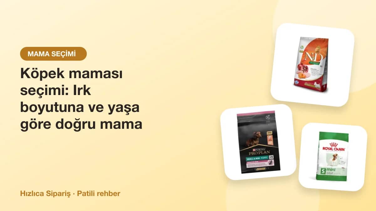 Küçük, orta ve büyük ırk köpekler için farklı boyutlarda kuru mama paketleri