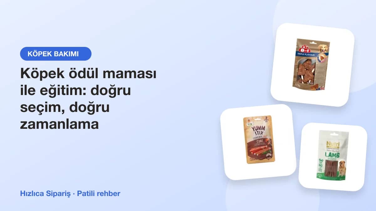 Farklı boyut ve şekillerde köpek ödül mamalarından oluşan ürün kolajı