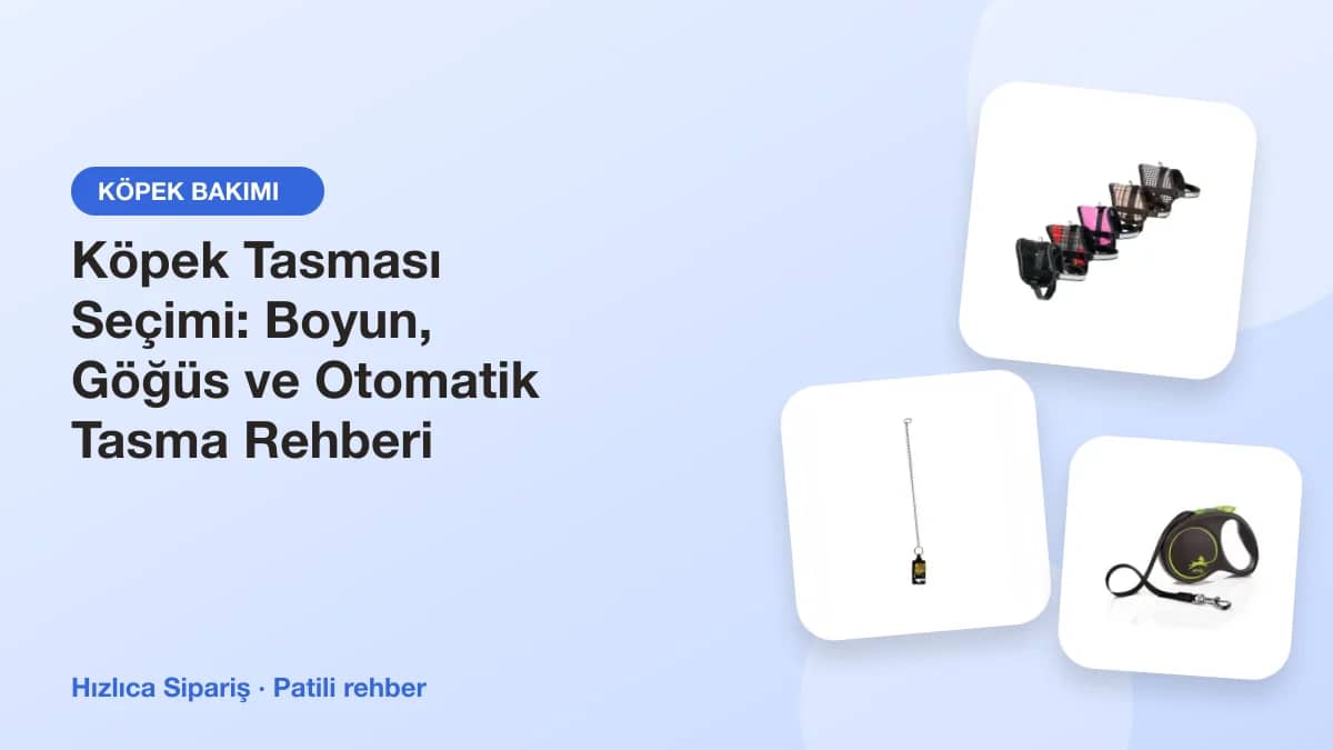Boyun tasmaları, göğüs tasmaları ve otomatik şerit gezdirme tasmalarından oluşan köpek tasması kolajı