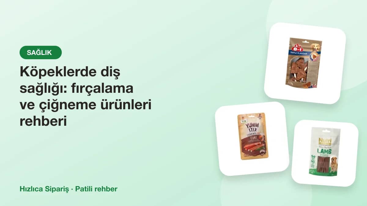 Köpek dental ödülleri, çiğneme kemikleri, diş fırçası ve diş macunundan oluşan ürün kolajı