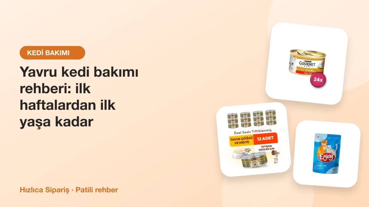 Yavru kediler için konserve ve kuru mama, mama kabı ve oyuncaklardan oluşan ürün kolajı