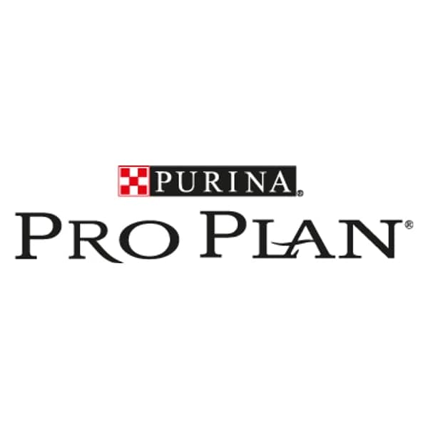 Pro Plan