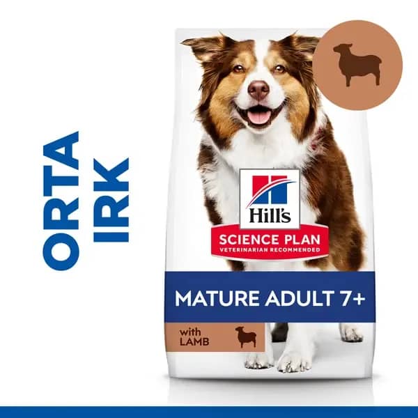 Hill's Mature Adult 7+ Orta Irk Kuzu Etli Yaşlı Köpek Maması