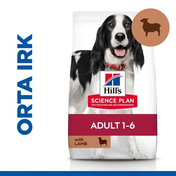 Hill's Kuzu Etli Orta Irk Yetişkin Köpek Maması