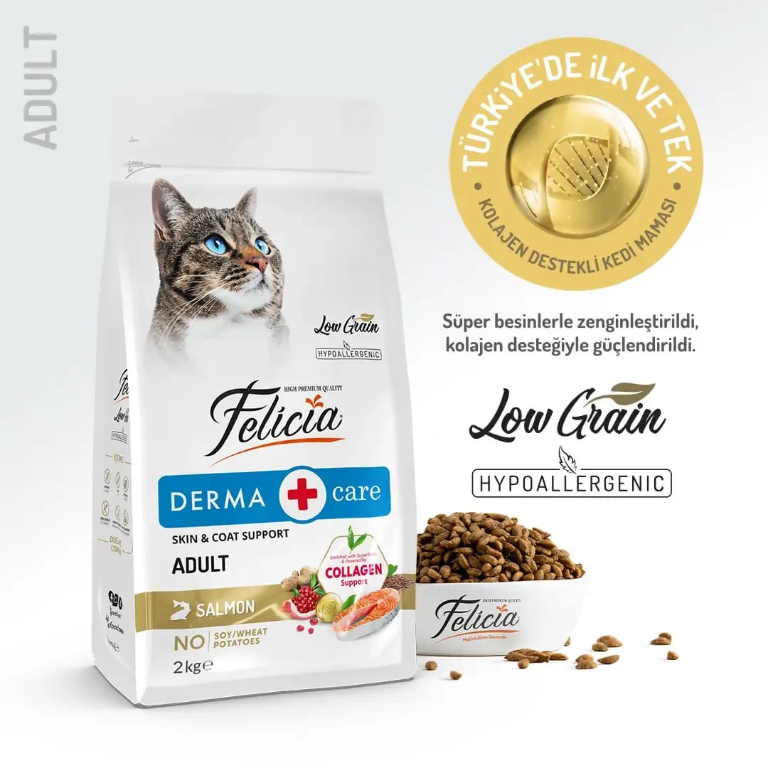 Felicia Somonlu Yetişkin Kedi Maması