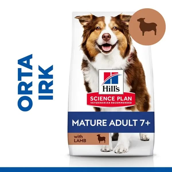Hill's Mature Adult 7+ Orta Irk Kuzu Etli Yaşlı Köpek Maması