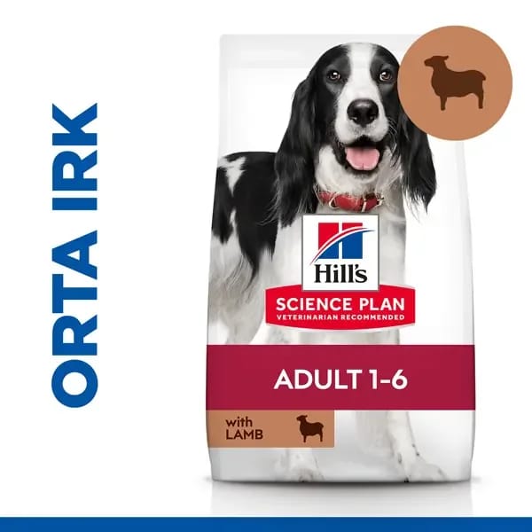 Hill's Kuzu Etli Orta Irk Yetişkin Köpek Maması
