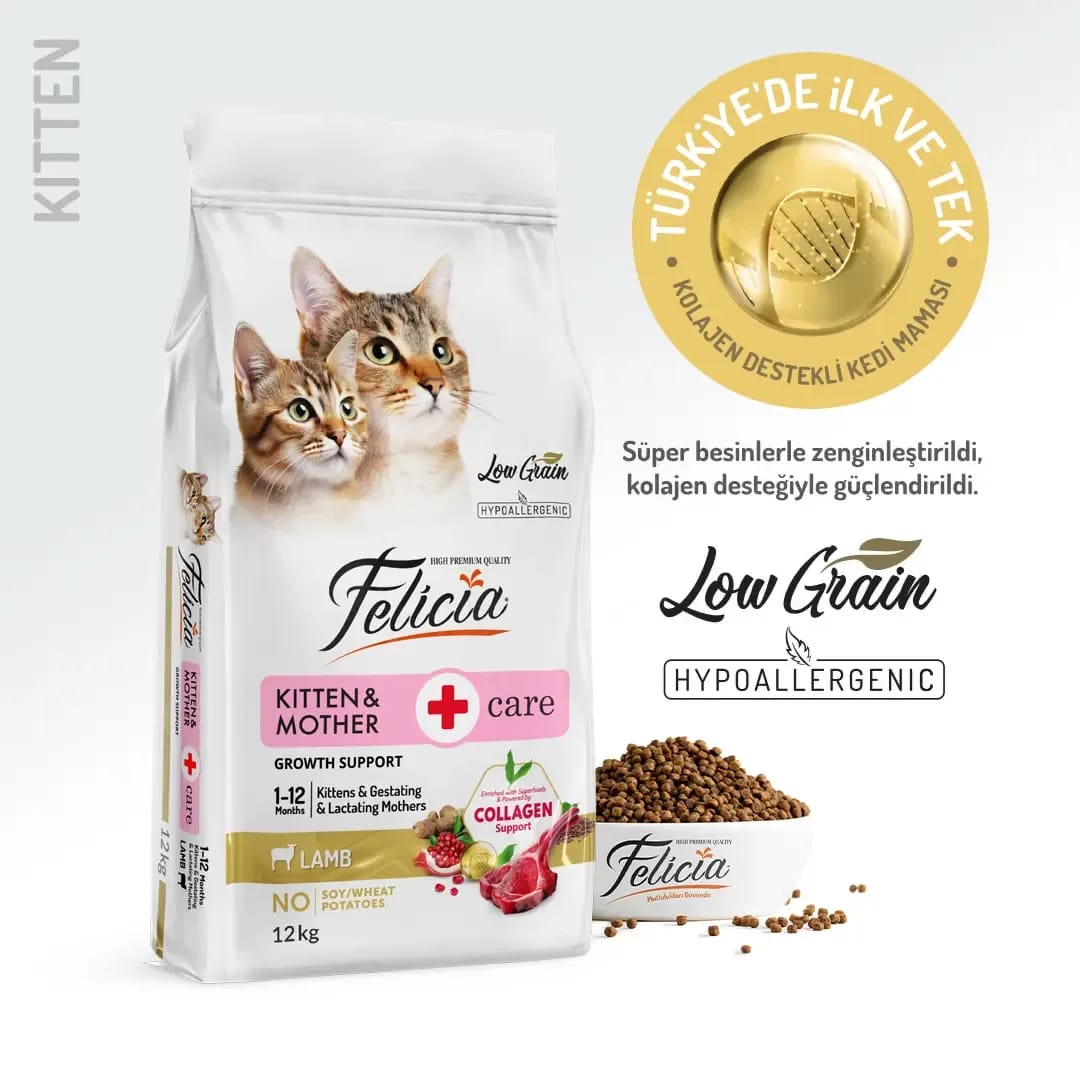 Felicia Etli Anne ve Yavru Kedi Maması